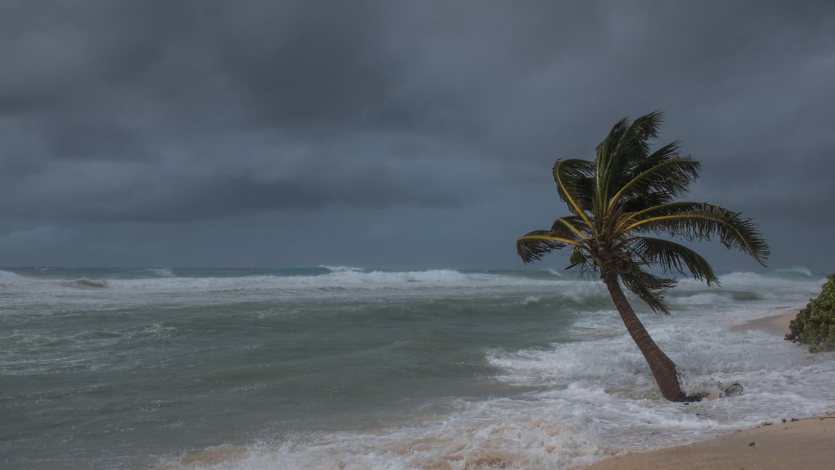 Busy 2024 Hurricane Season Expected What It Means for Cruises